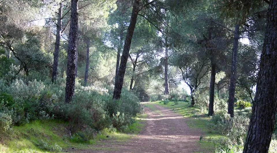 parque-periurbano-la-sierrezuela