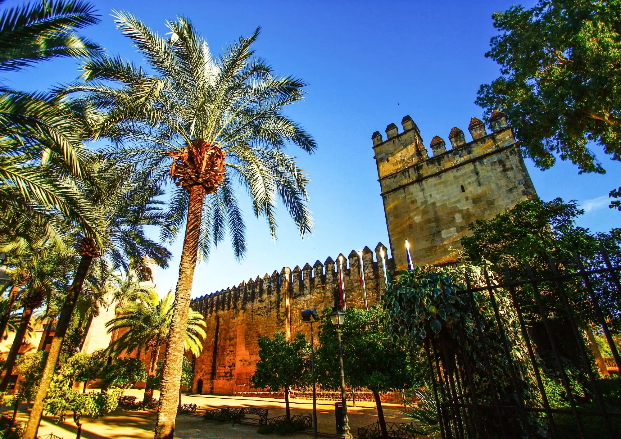 Córdoba