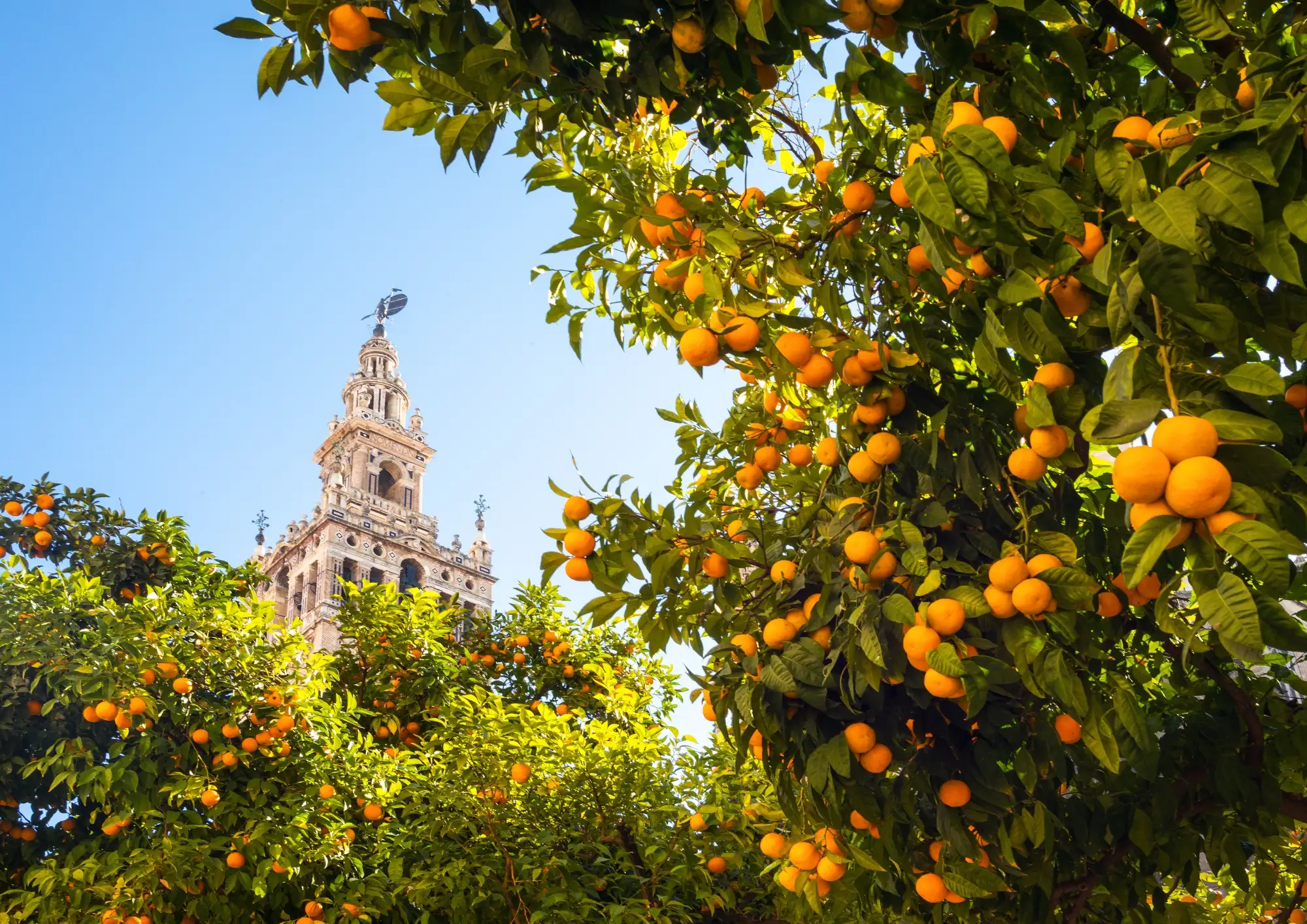 Sevilla