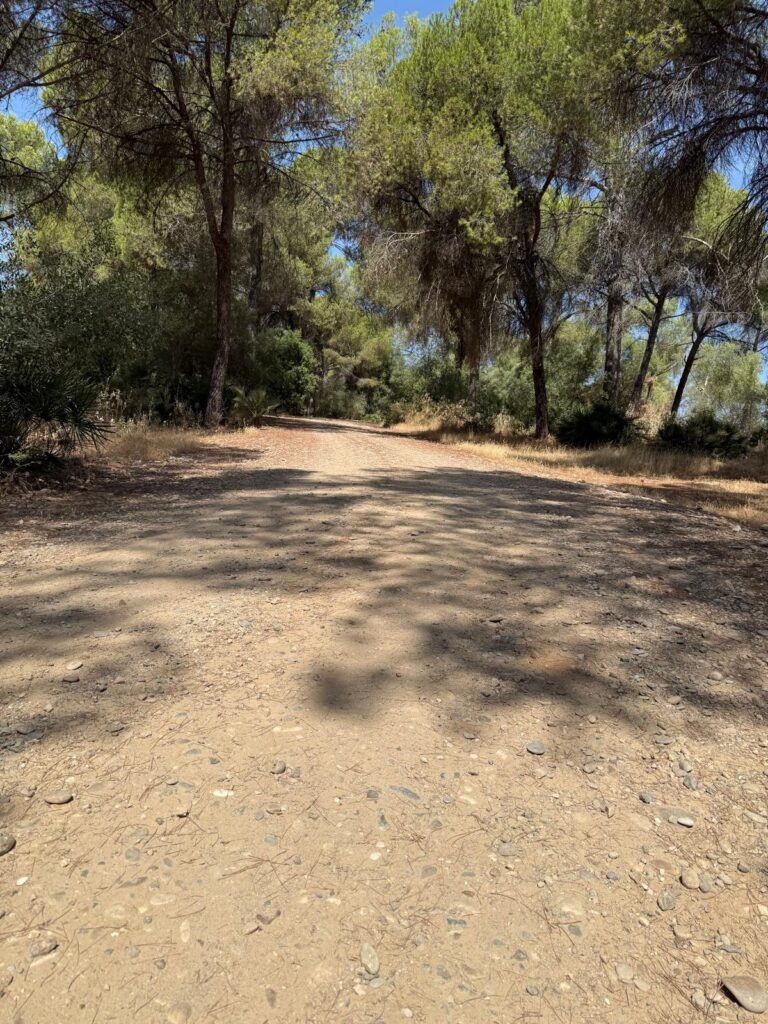 Sierrezuela nature Cordoba Andalusia.